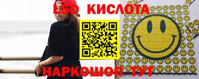 гидропоника Берёзовский