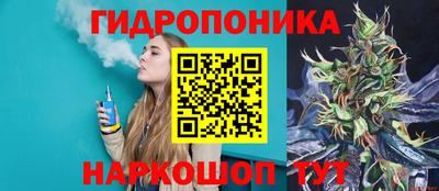 гидропоника Берёзовский